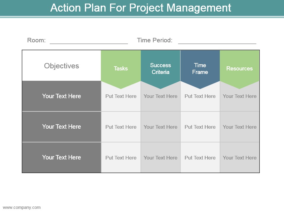 Action Plan For Project Management Example Of Ppt Presentation
