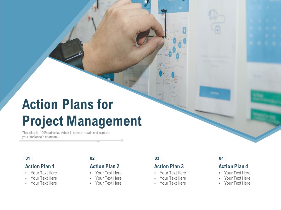 Action Plans For Project Management Ppt PowerPoint Presentation Model Picture