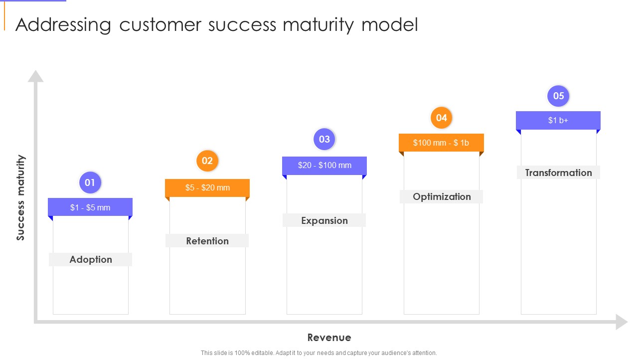 Addressing Customer Success Maturity Model Infographics PDF