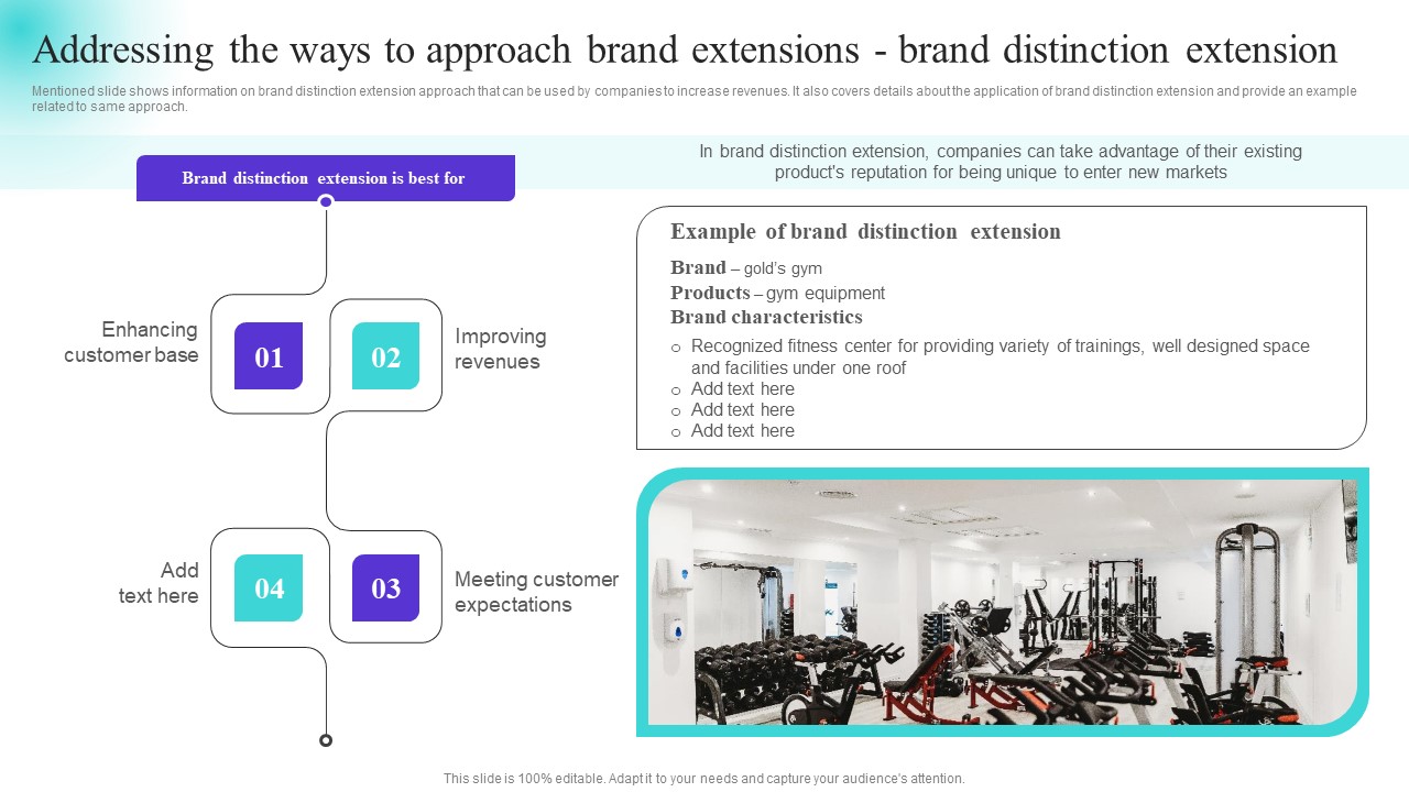 Addressing The Ways To Approach Brand Extensions Brand Distinction Extension Portrait PDF