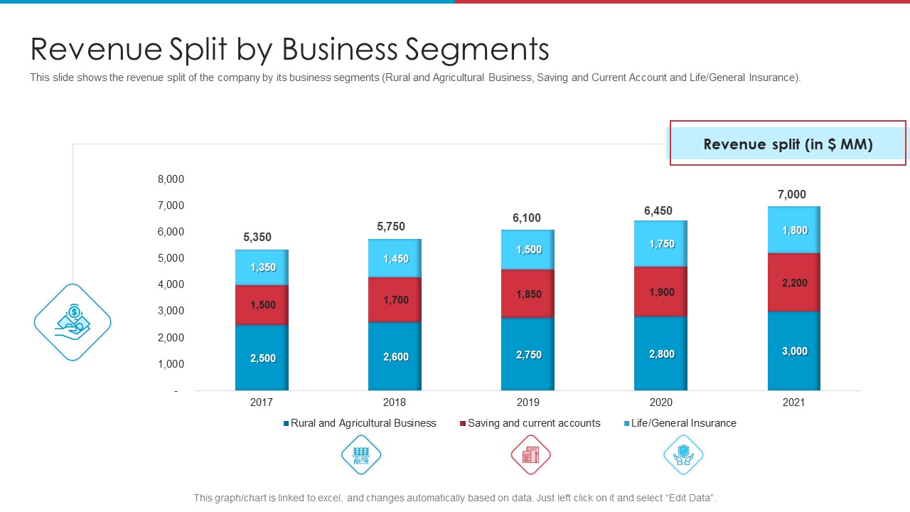 After IPO Equity Revenue Split By Business Segments Ppt Infographic Template Layout PDF