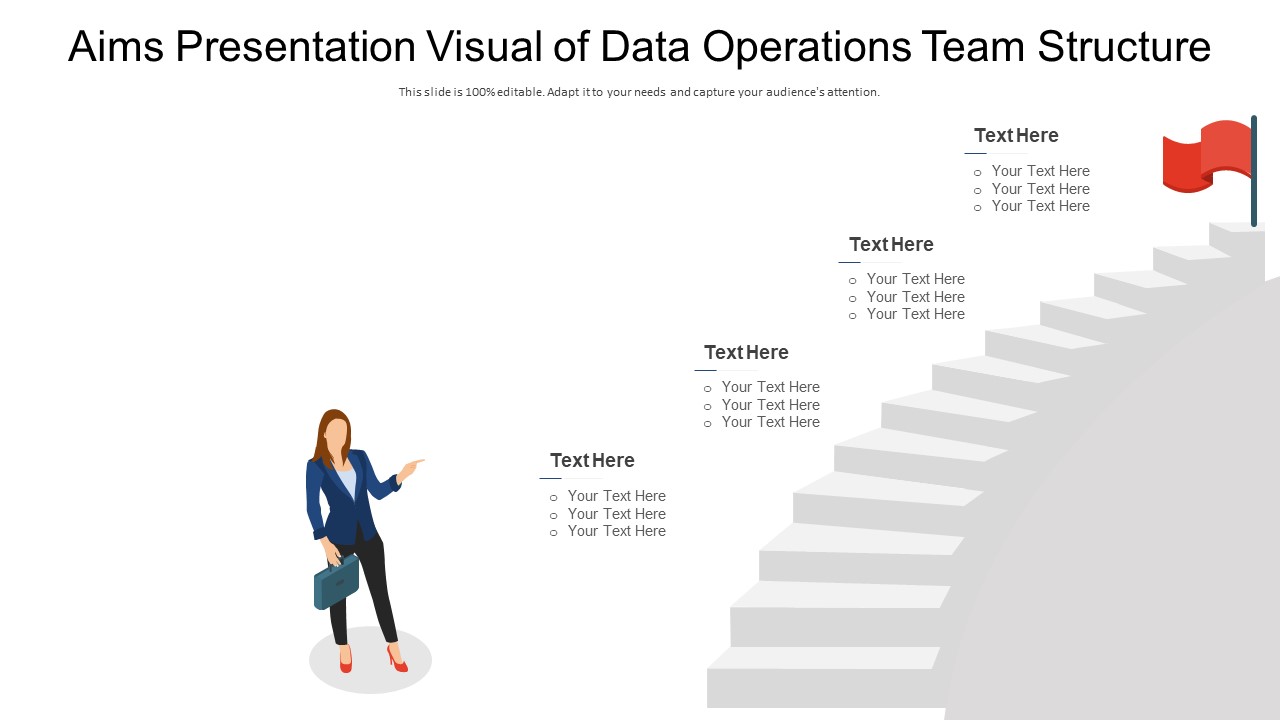Aims Presentation Visual Of Data Operations Team Structure Ppt PowerPoint Presentation Gallery Infographics PDF