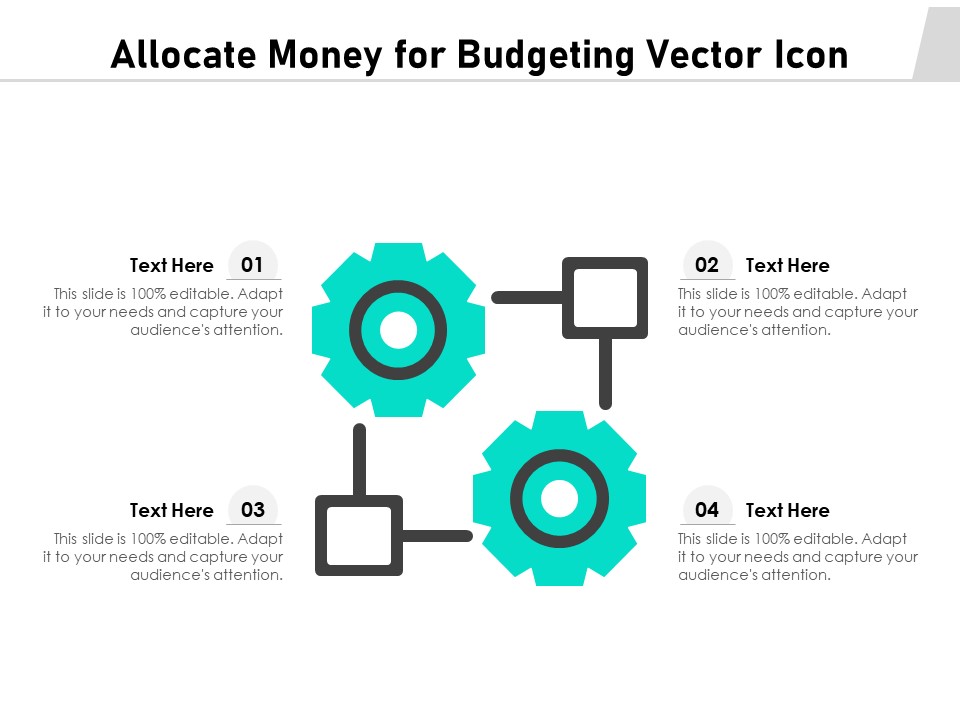 Allocate Money For Budgeting Vector Icon Ppt PowerPoint Presentation Icon Ideas PDF