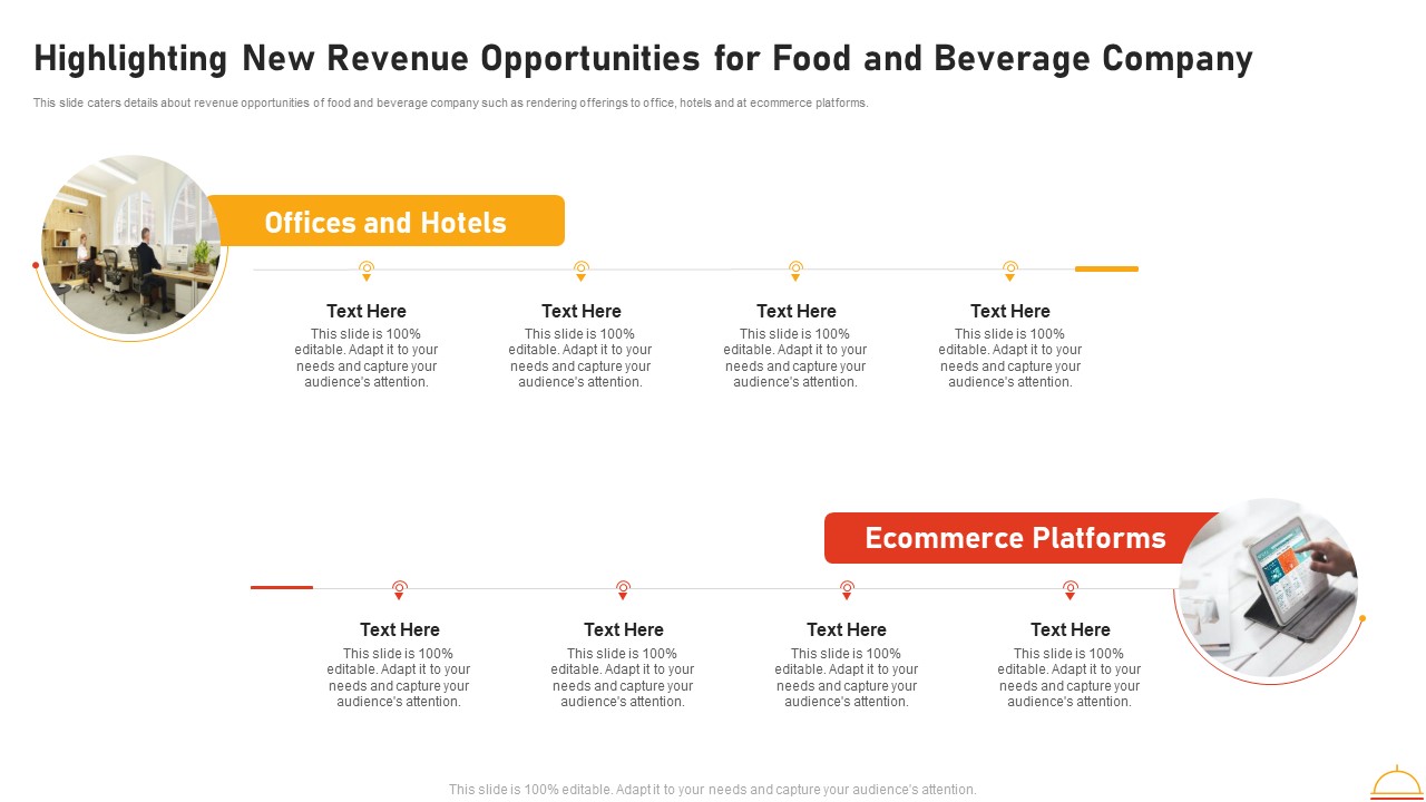 Appetizers Company Investor Funding Highlighting New Revenue Opportunities For Food And Beverage Company Summary PDF