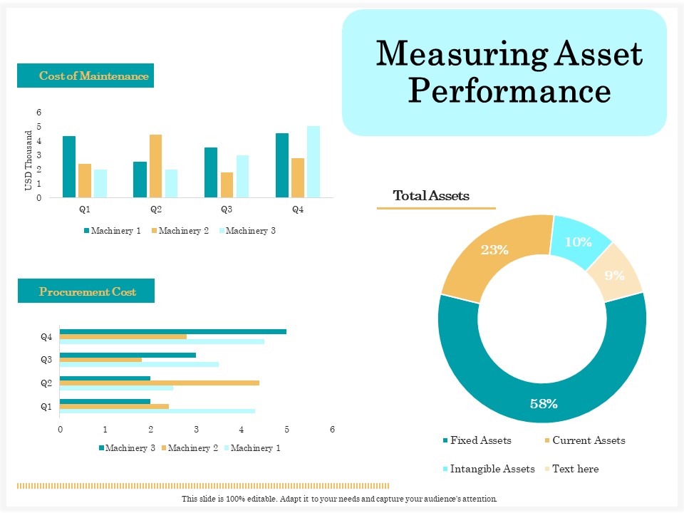Application Life Cycle Analysis Capital Assets Measuring Asset Performance Formats PDF