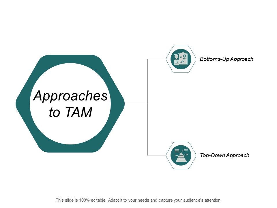 Approaches To Tam Ppt PowerPoint Presentation Portfolio Clipart Images