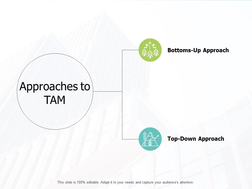 Approaches To Tam Process Ppt PowerPoint Presentation Icon Rules