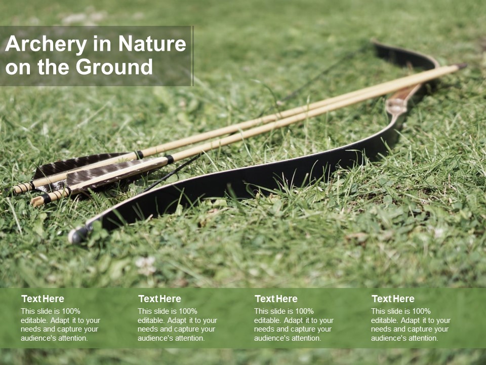 Archery In Nature On The Ground Ppt PowerPoint Presentation Styles