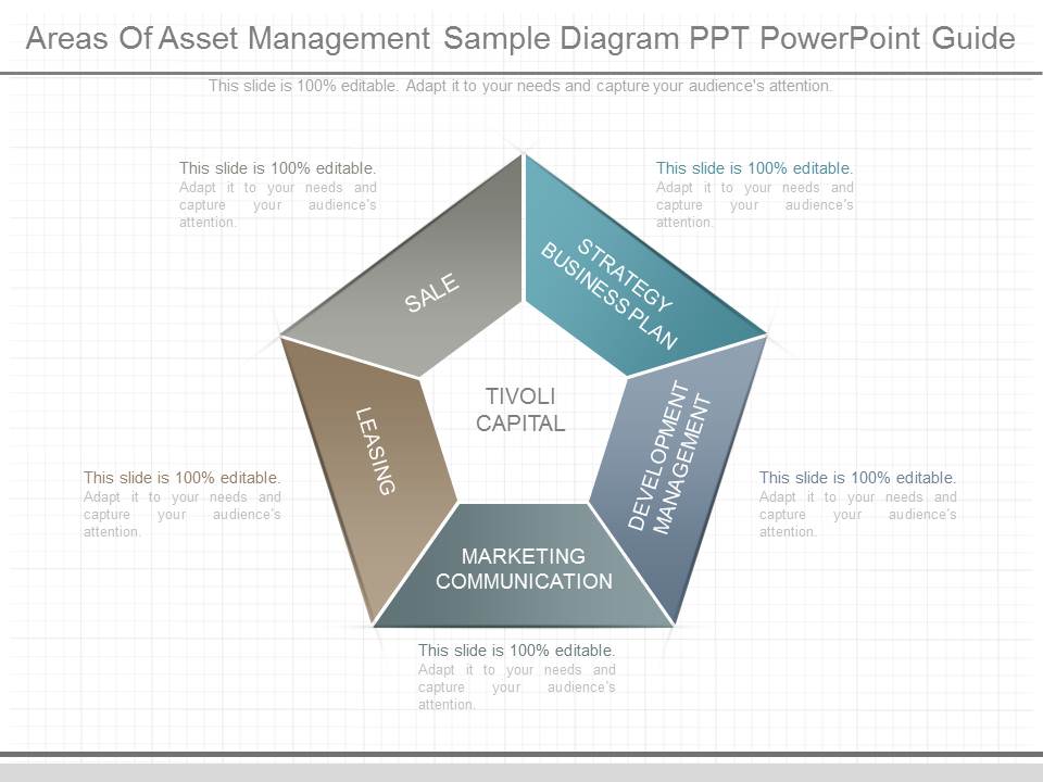 Areas Of Asset Management Sample Diagram Ppt Powerpoint Guide
