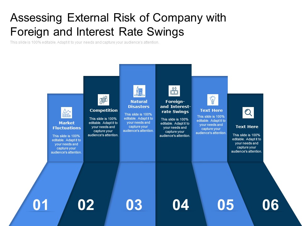 Assessing External Risk Of Company With Foreign And Interest Rate Swings Ppt PowerPoint Presentation Summary Designs Download PDF