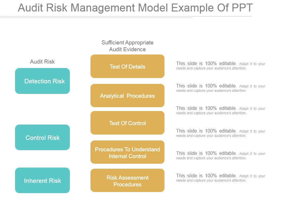 Audit Risk Management Model Ppt PowerPoint Presentation Tips