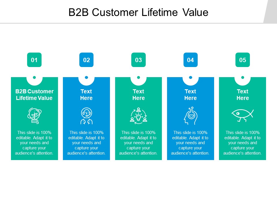 B2B Customer Lifetime Value Ppt PowerPoint Presentation Show Background Cpb