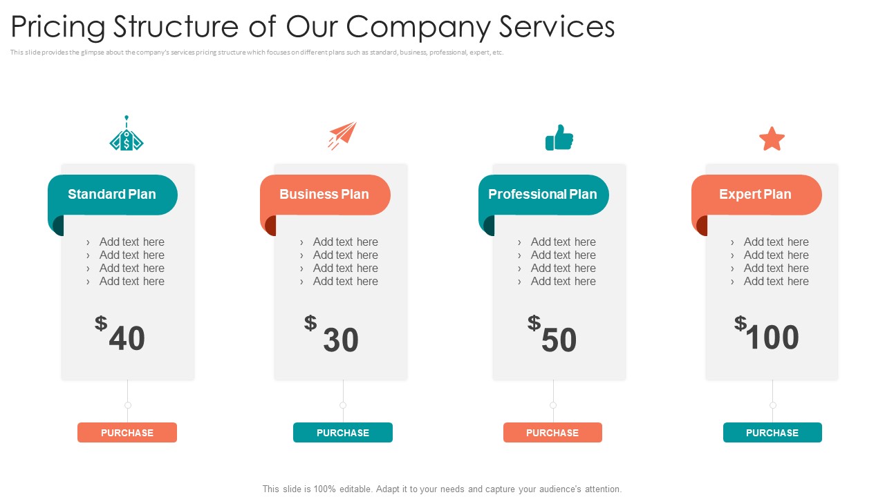 B2B Sales Procedure Counselling Pricing Structure Of Our Company Services Download PDF