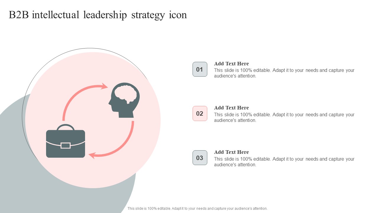 B2b Intellectual Leadership Strategy Icon Guidelines PDF