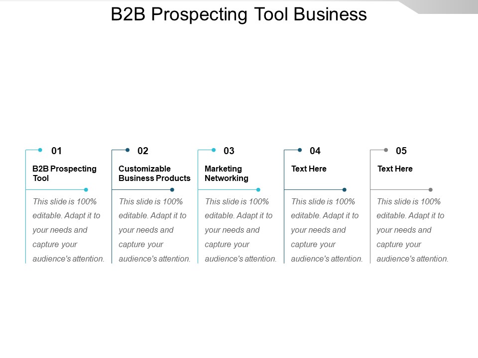 B2b Prospecting Tool Customizable Business Products Marketing Networking Ppt PowerPoint Presentation Summary Graphics Pictures