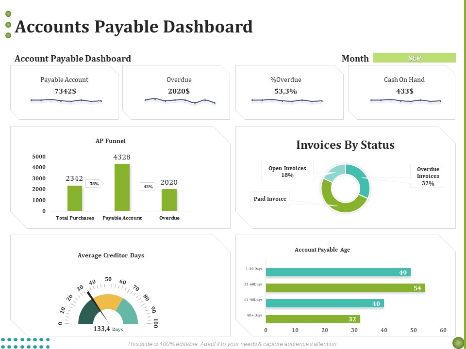 BPO Managing Enterprise Financial Transactions Accounts Payable Dashboard Demonstration PDF