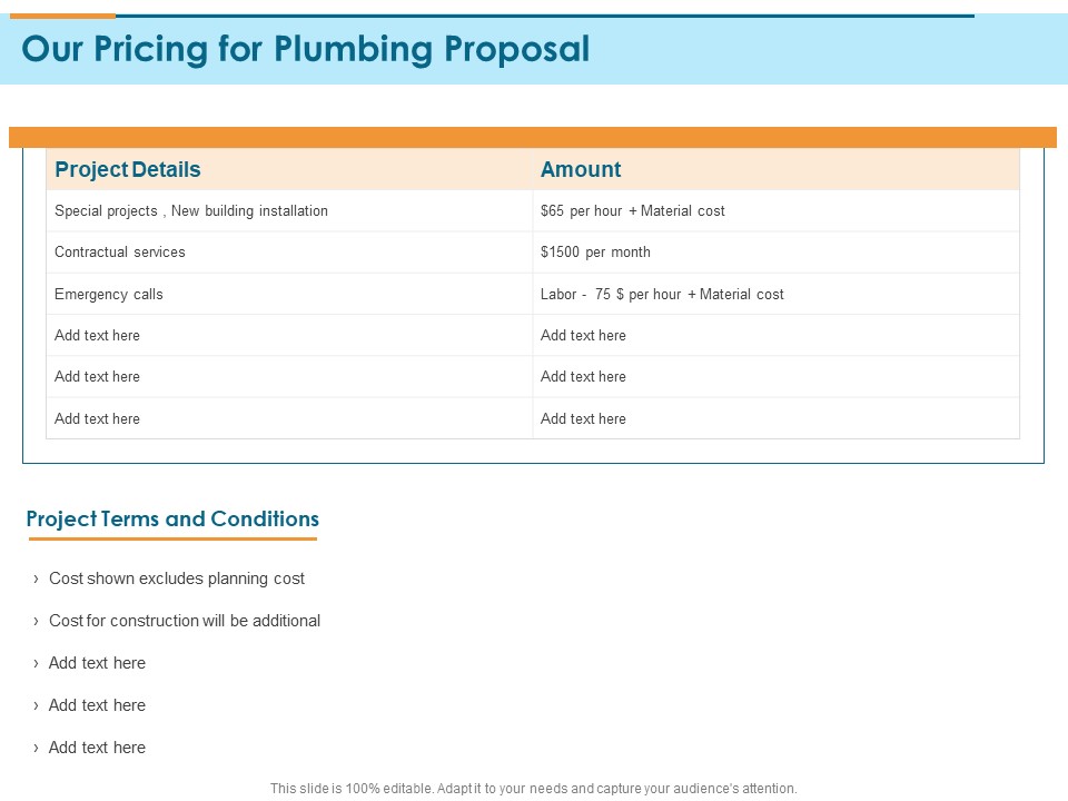 Bathroom Fixture Our Pricing For Plumbing Proposal Ppt PowerPoint Presentation Icon Grid PDF