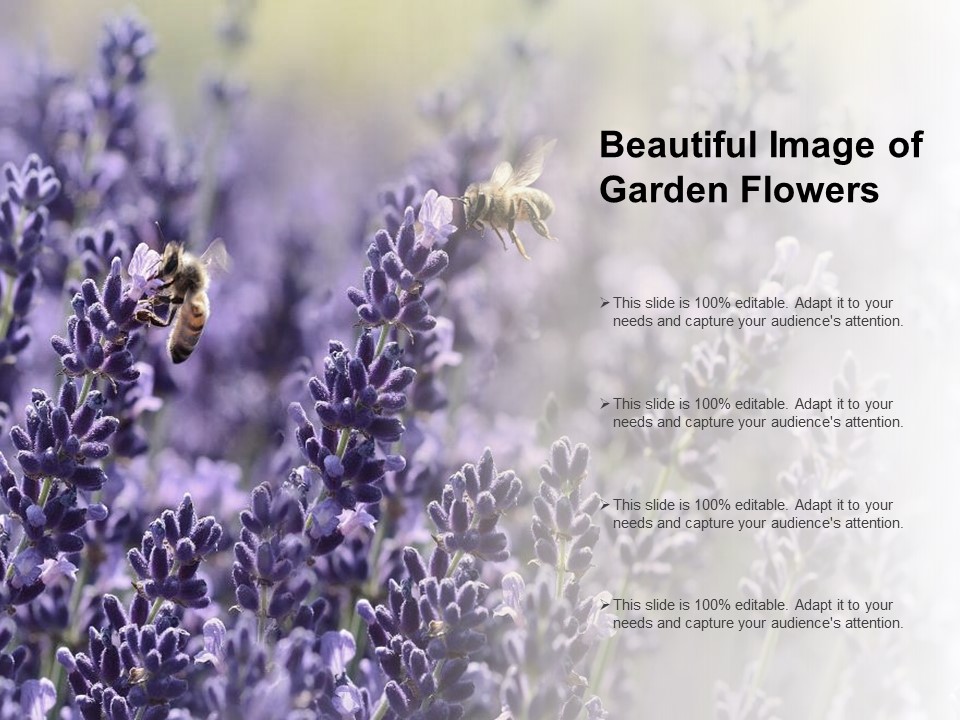 Beautiful Image Of Garden Flowers Ppt PowerPoint Presentation File Skills