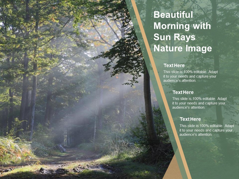 Beautiful Morning With Sun Rays Nature Image Ppt PowerPoint Presentation Themes