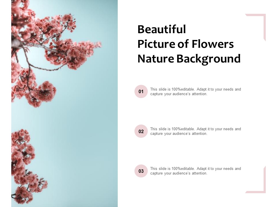 Beautiful Picture Of Flowers Nature Background Ppt PowerPoint Presentation Infographic Template Backgrounds