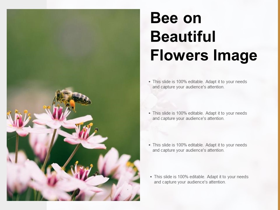 Bee On Beautiful Flowers Image Ppt PowerPoint Presentation Slides Gridlines