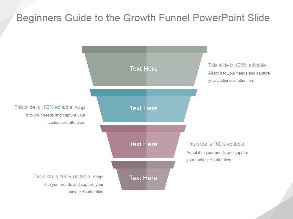 Beginners Guide To The Growth Funnel Ppt PowerPoint Presentation Picture