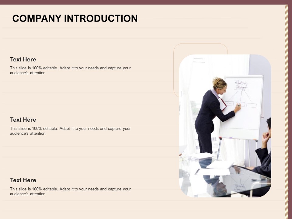 Best Practices For Increasing Lead Conversion Rates Company Introduction Ppt Inspiration Slide Download PDF
