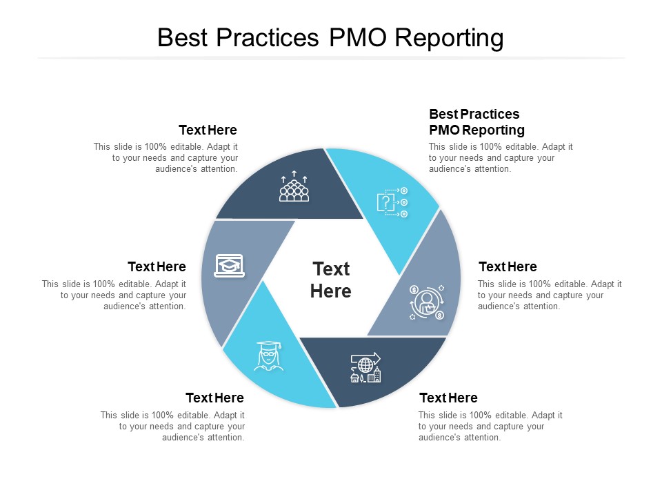 Best Practices PMO Reporting Ppt PowerPoint Presentation Infographic Template Show Cpb Pdf