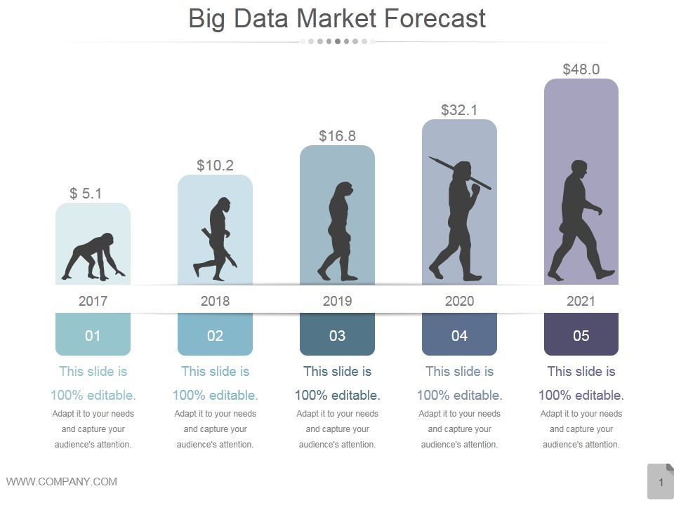 Big Data Market Forecast Ppt PowerPoint Presentation Clipart