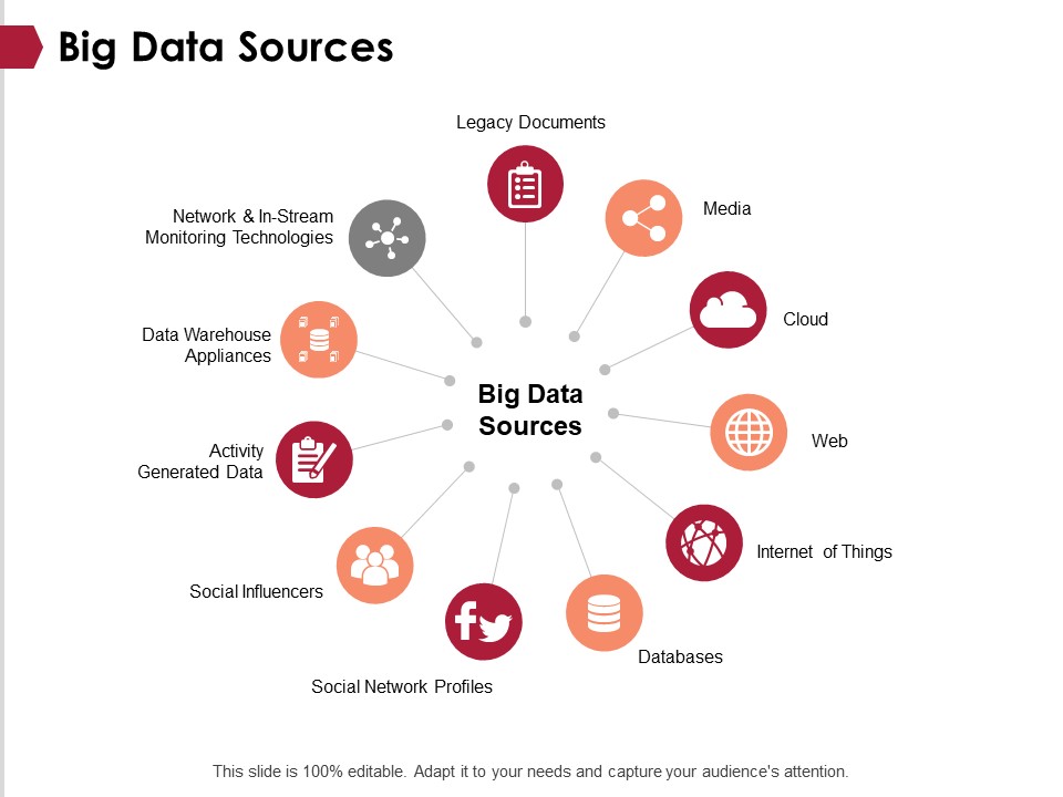 Big Data Sources Ppt PowerPoint Presentation Professional Slide Portrait