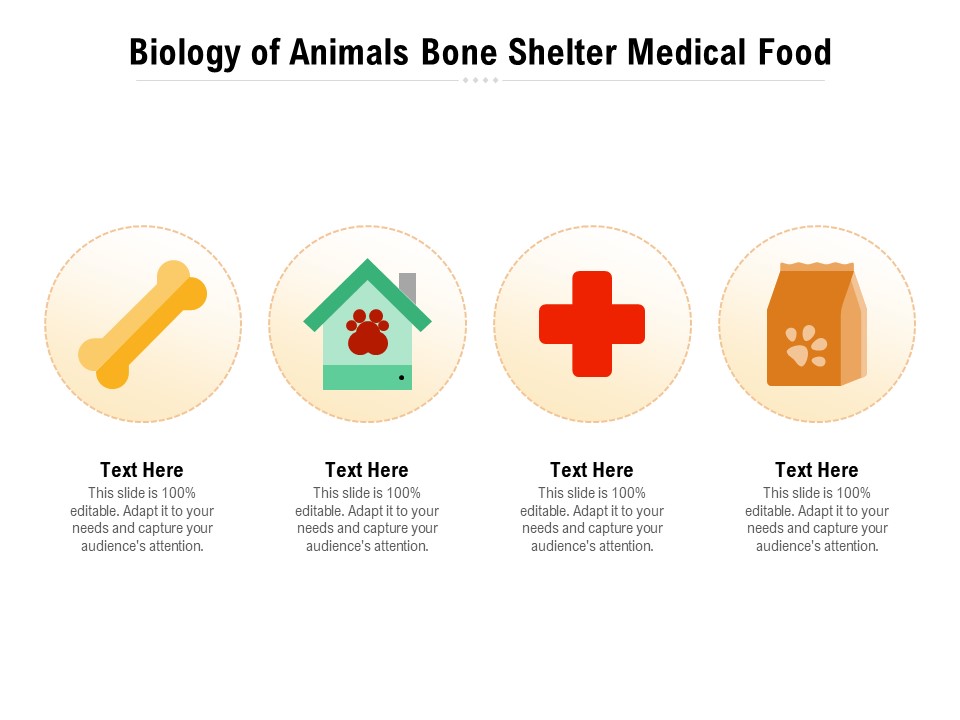 Biology Of Animals Bone Shelter Medical Food Ppt PowerPoint Presentation Icon Infographic Template PDF
