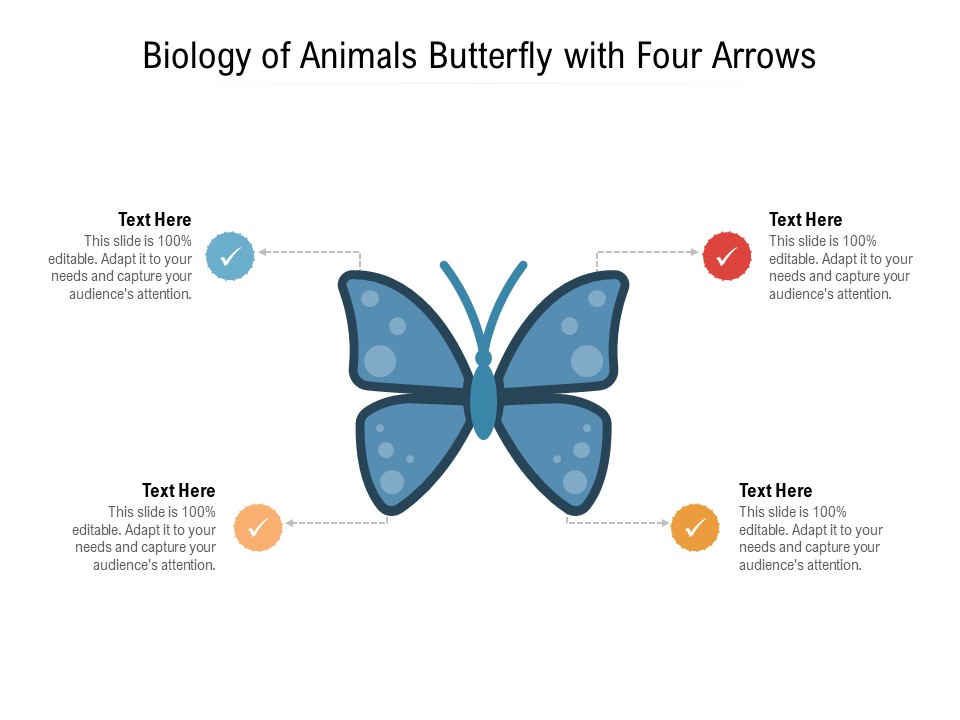 Biology Of Animals Butterfly With Four Arrows Ppt PowerPoint Presentation Gallery Portfolio PDF