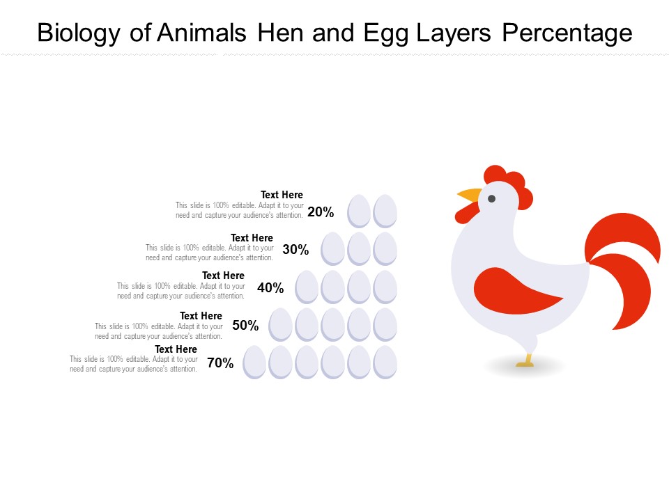 Biology Of Animals Hen And Egg Layers Percentage Ppt PowerPoint Presentation Gallery Graphics Download PDF