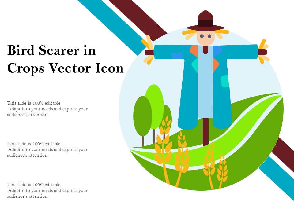 Bird Scarer In Crops Vector Icon Ppt PowerPoint Presentation Outline Slides PDF