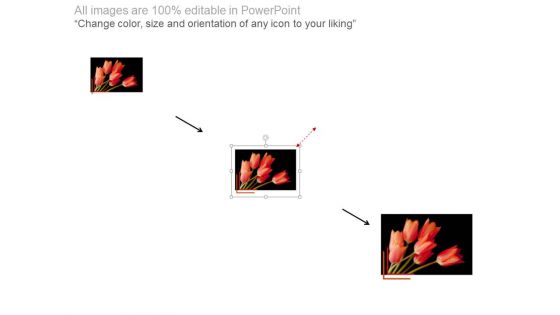 Black Background Lily Flower Thank You PowerPoint Slides