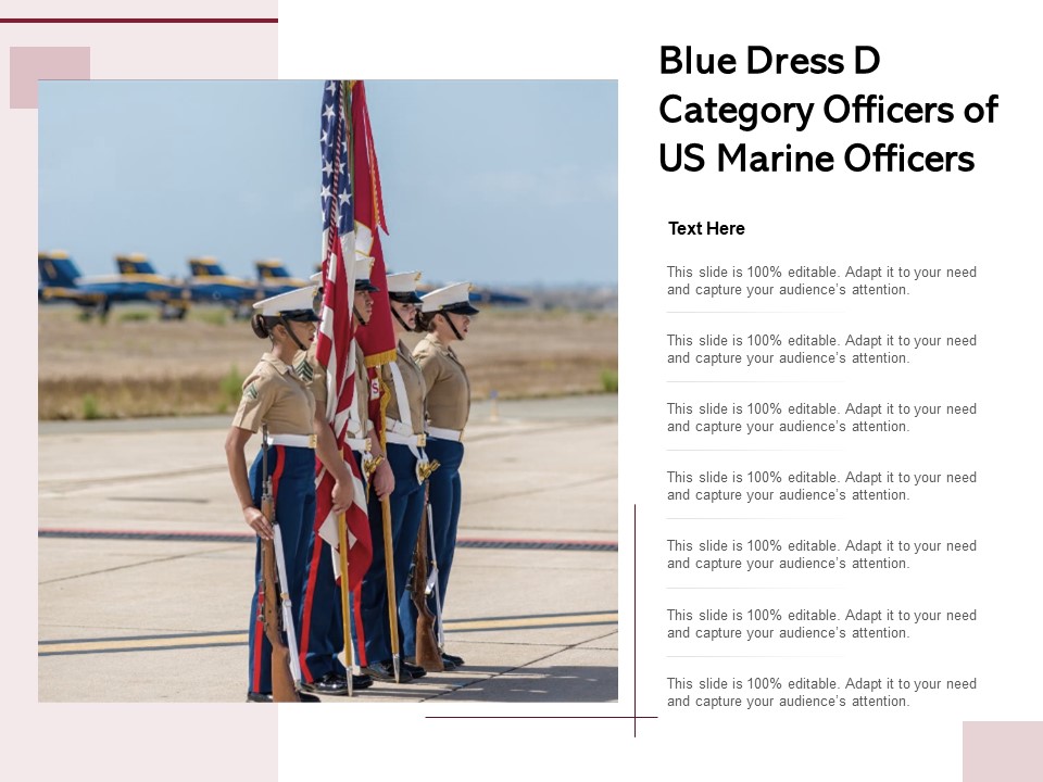 Blue Dress D Category Officers Of US Marine Officers Ppt PowerPoint Presentation Show Slides PDF