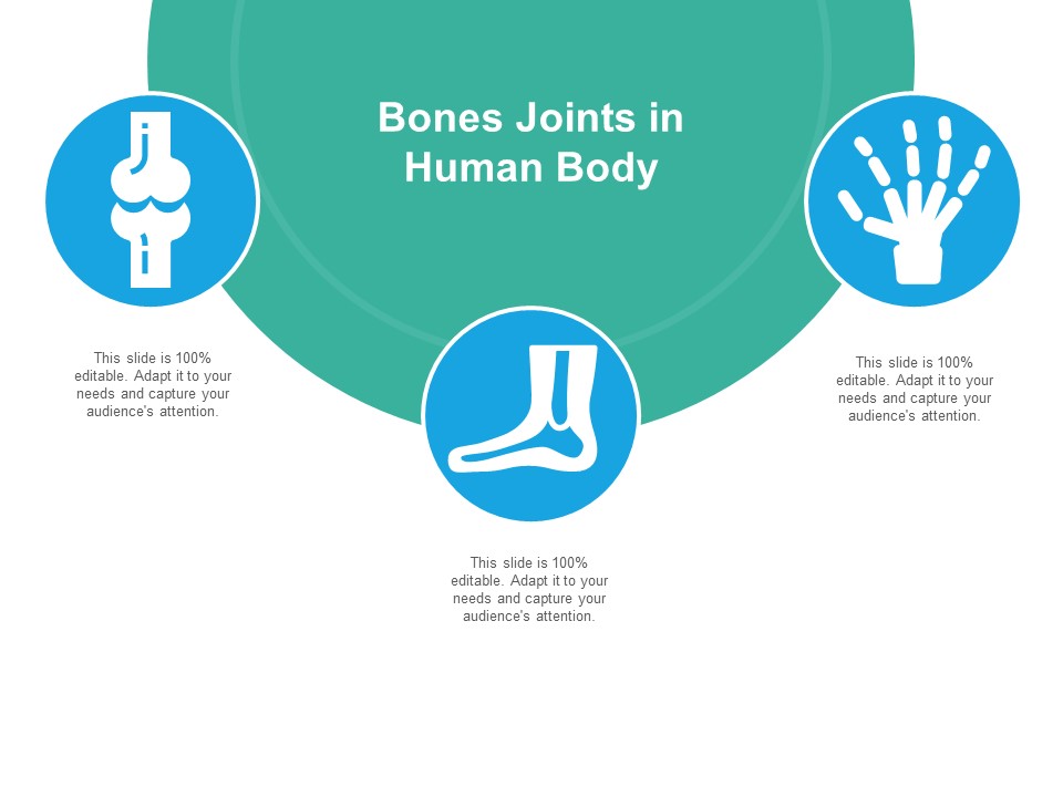 Bones Joints In Human Body Ppt Powerpoint Presentation Infographics Template