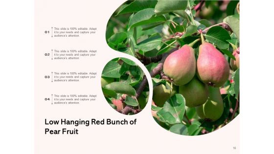 Boundlessly Low Hanging Apple Fruit Ppt PowerPoint Presentation Complete Deck