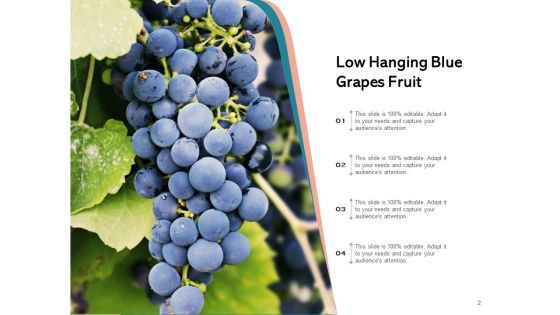Boundlessly Low Hanging Apple Fruit Ppt PowerPoint Presentation Complete Deck