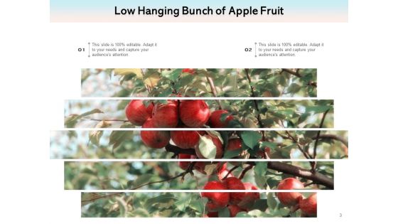 Boundlessly Low Hanging Apple Fruit Ppt PowerPoint Presentation Complete Deck