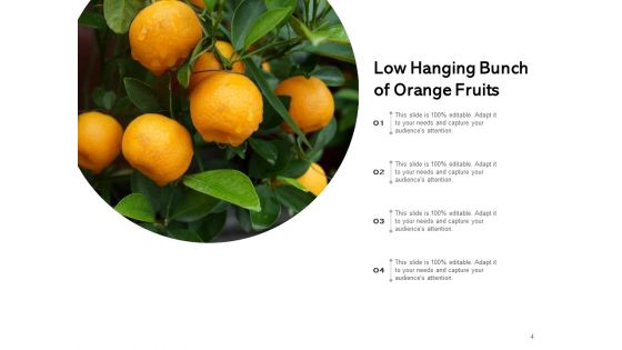Boundlessly Low Hanging Apple Fruit Ppt PowerPoint Presentation Complete Deck