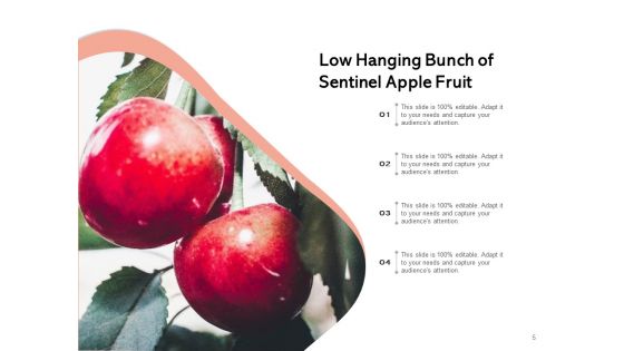 Boundlessly Low Hanging Apple Fruit Ppt PowerPoint Presentation Complete Deck