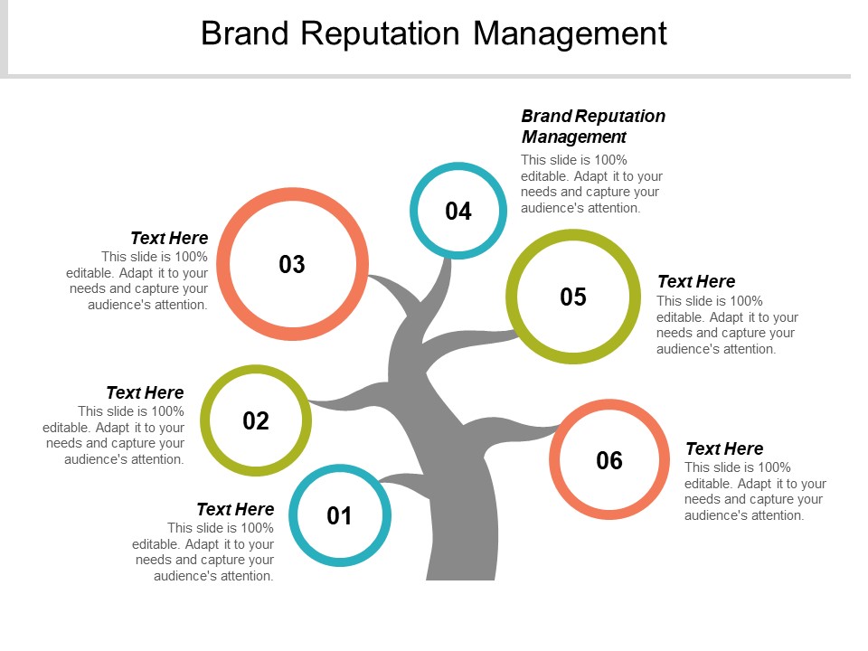 Brand Reputation Management Ppt PowerPoint Presentation Professional Gridlines Cpb