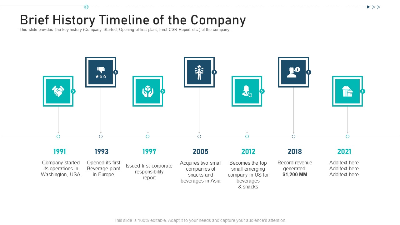 Brief History Timeline Of The Company Ppt Styles Rules PDF