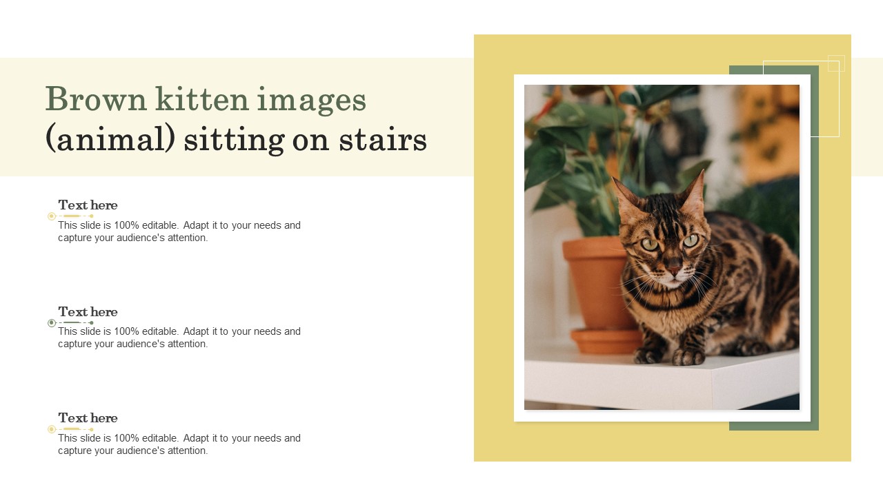 Brown Kitten Images Animal Sitting On Stairs Ppt PowerPoint Presentation Gallery Microsoft PDF