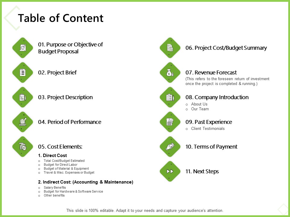 Budget Cost Project Plan Table Of Content Ppt Icon Guidelines PDF