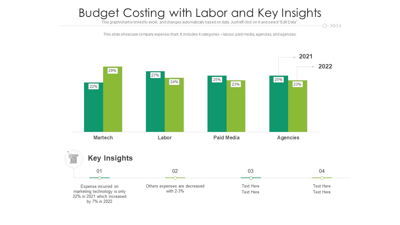 Budget Costing With Labor And Key Insights Ppt PowerPoint Presentation Styles Backgrounds PDF