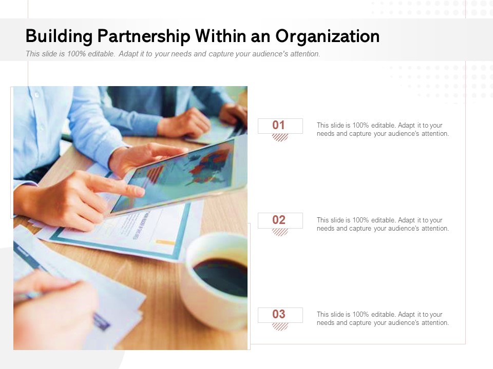 Building Partnership Within An Organization Ppt PowerPoint Presentation Portfolio Images PDF