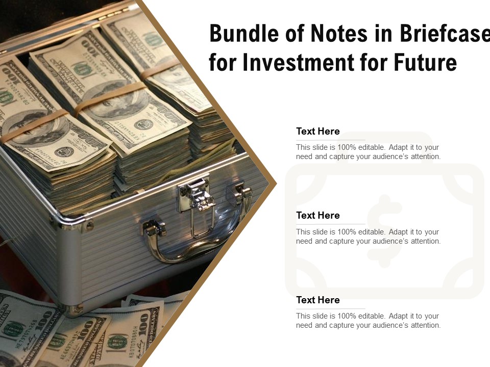 Bundle Of Notes In Briefcase For Investment For Future Ppt PowerPoint Presentation File Infographics PDF