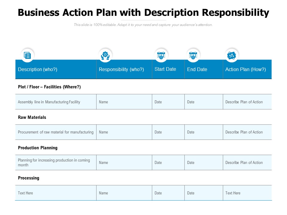 Business Action Plan With Description Responsibility Ppt PowerPoint Presentation Portfolio Good